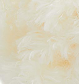 Puffy FurLove 62