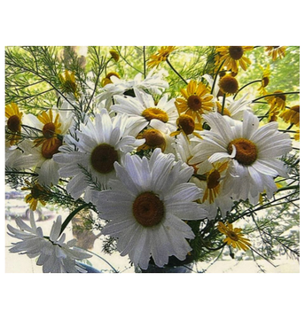 Алмазная мозаика 20*30 см JS16865
